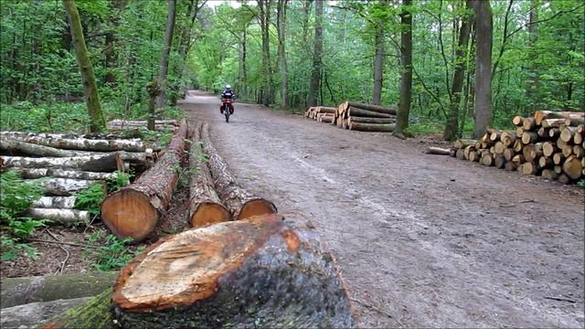 Maarten van Rossum Pad смотреть онлайн