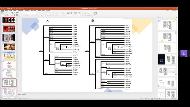 IDENTIFIER ISRAELITES PAR A.D.N. смотреть онлайн