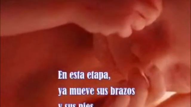 Caro Unger - No Es Un Error (Cruzada Contra el Aborto) смотреть онлайн