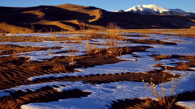 Краткие факты #1 смотреть онлайн