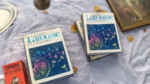 54.2 Франция. Ежегодная барахолка в городе Лиль. Обзор экскурсия