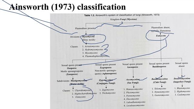 Lec 13. Classification and Taxonomy of Fungi смотреть онлайн