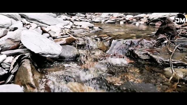Cinematic || Neature Weather || Beautiful Scene || Shanis... смотреть онлайн