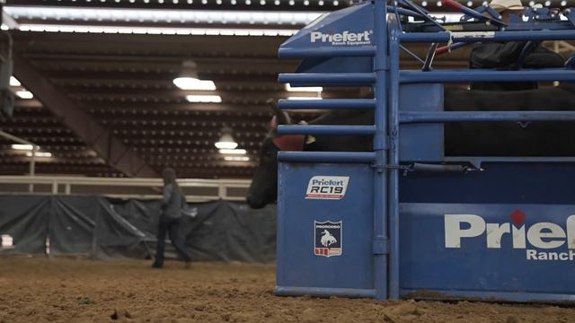 Vitalize Ambassador Miles Baker смотреть онлайн