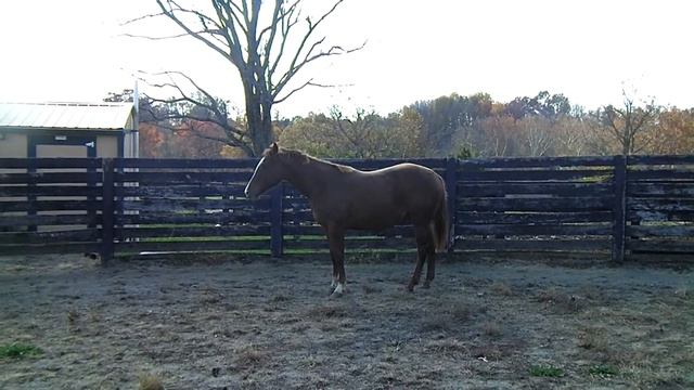 Alisha 11 3 18 смотреть онлайн