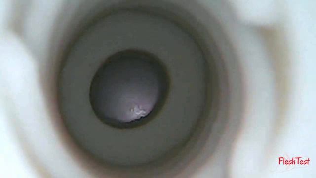Fleshlight Dillion Harper Crush texture – inside cam [720p] смотреть онлайн