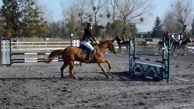 Charlotte et Rainbow le destrier смотреть онлайн