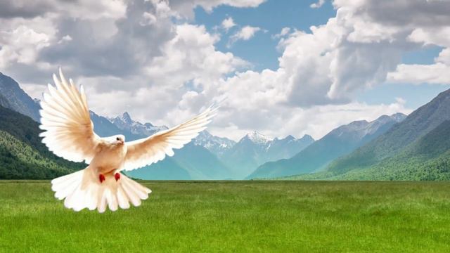 Los Cinco Minutos Del Espíritu Santo Del Día De Hoy De 2024 En El Cenáculo #orarenelcenaculo