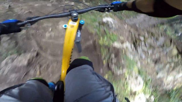 Coccobet 18 ROOTS GARDEN