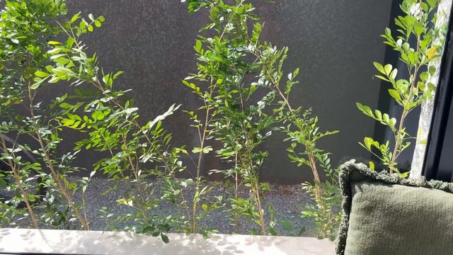 CHEGARAM UM MONTE DE COISAS PARA A CASA NOVA! 😍 смотреть онлайн