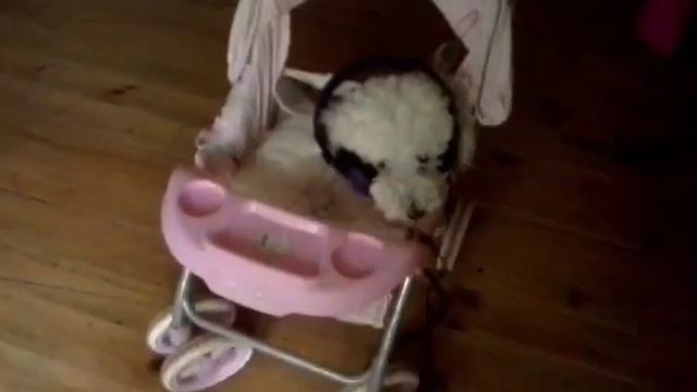 Que hago cuando estoy sola en casa *princesa landia guajardo candia* смотреть онлайн