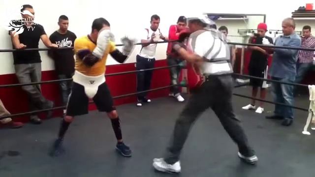 Juan Manuel Marquez - Dynamite