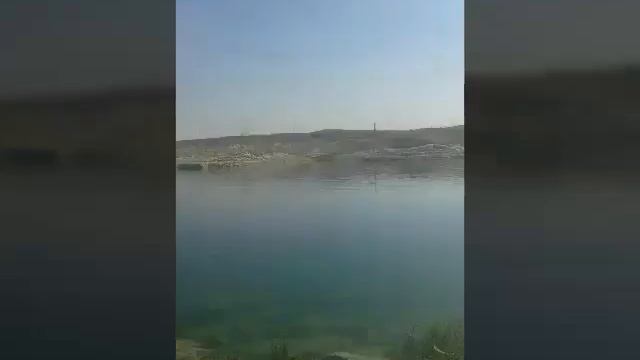 فيصل الدخيل смотреть онлайн