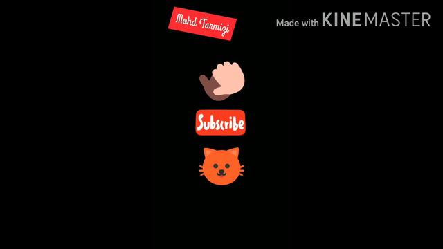 Anak Kucing Kampung | Kucing Kampung Yang Kelihatan Seperti Kucing Hutan...road To Baby Meow Lagi.