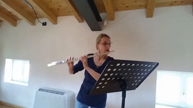 Anton Stamitz - 8 Caprices for solo flute, 6. Allegro moderato смотреть онлайн
