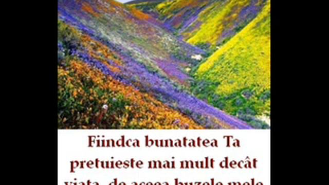 NICOLAE MOLDOVEANU - Adancul laudelor mele смотреть онлайн