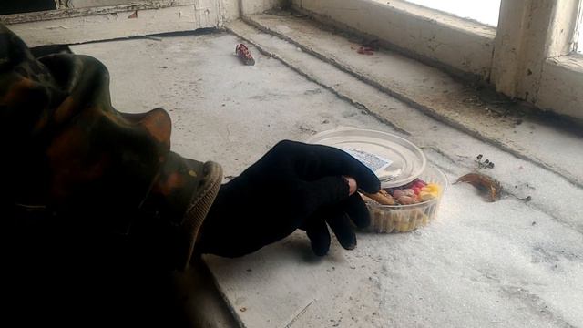 Утилизация салата. смотреть онлайн