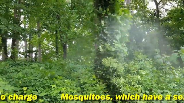 Zika Virus Pittsboro