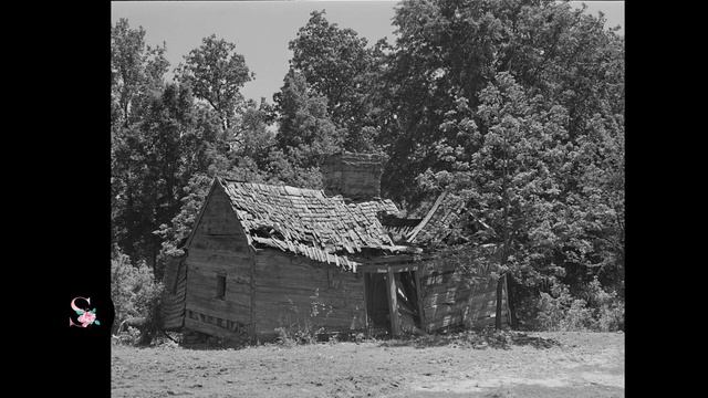 Photography of African American Life in 1940's Georgia by Jack Delano смотреть онлайн