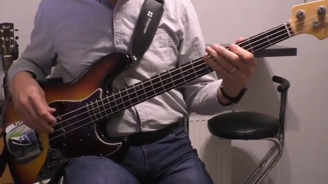 [Namika] Lieblingsmensch - Bass Cover 🎧 смотреть онлайн