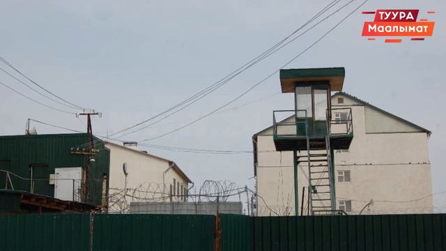 Курсан Асановду № 50 абака камап,коркутуп жатышат! #курсанасанов смотреть онлайн