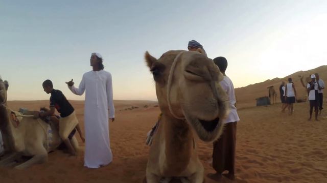Shabab Oman II International Maiden Voyage