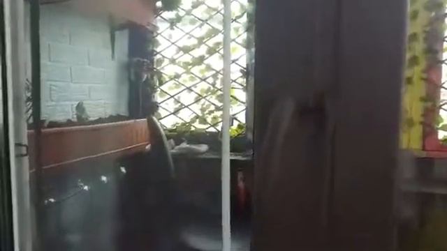 Эмма и Шелдон смотреть онлайн