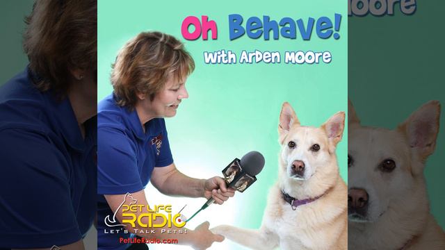Oh Behave - Episode 368 Now Ear This! Michael Tyrrell Invented a Device to Keep Pets Calm смотреть онлайн