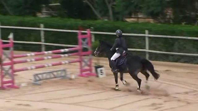 Tom and Penn Shar Absoluto CV 2011 смотреть онлайн