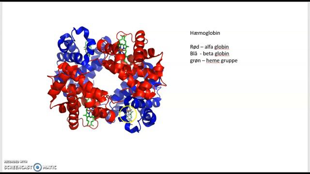 Kp 50 Om Mutationer Og Arvelige Sygdomme