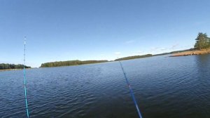 Рыбалка на Финском заливе | Выборгский залив | Троллинг