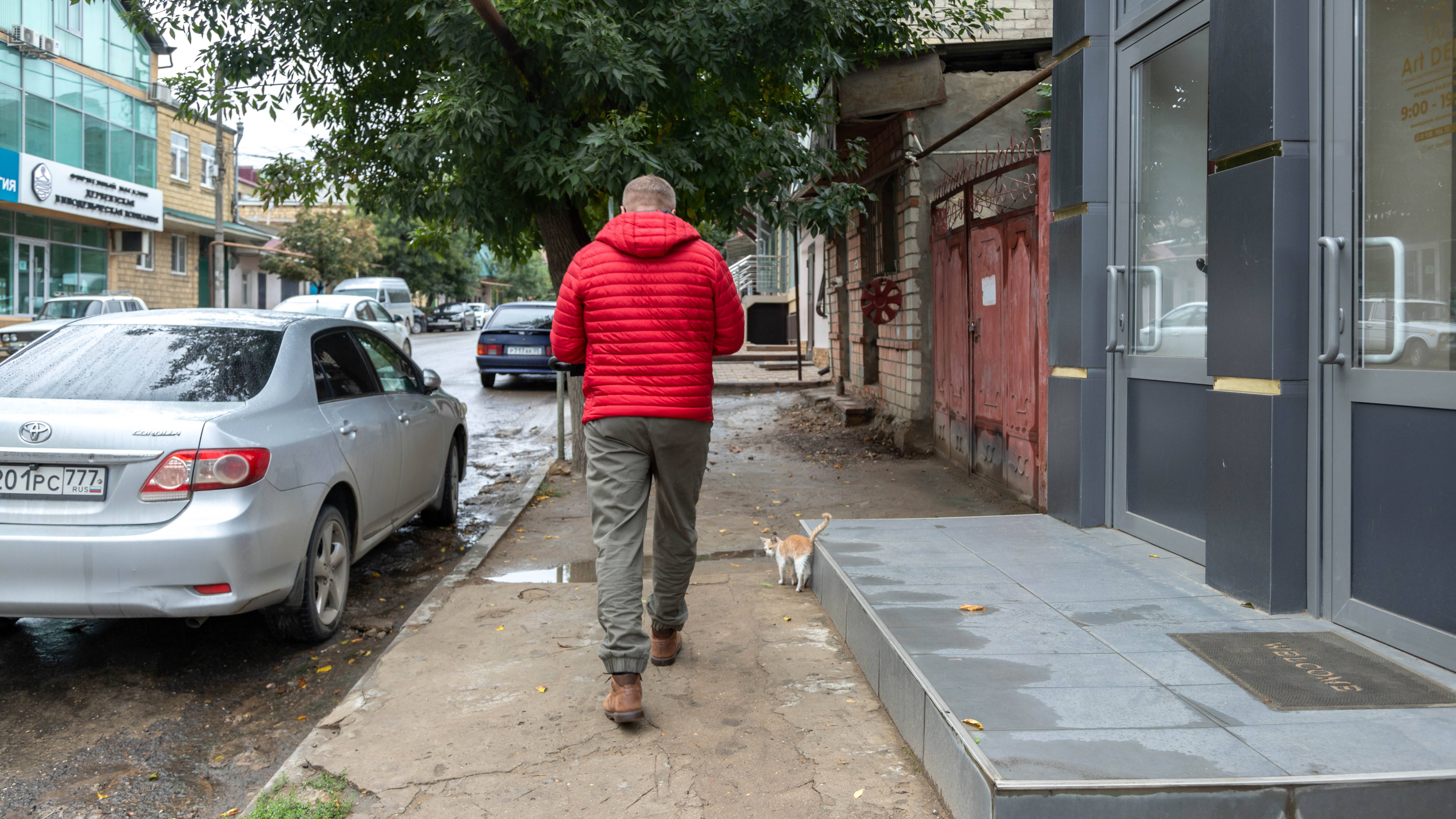 Кошка гуляет сама по себе, а мы ее сопровождаем. И никак не наоборот смотреть онлайн