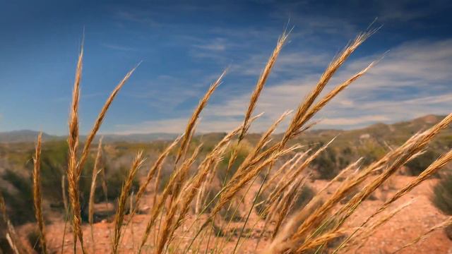 Zhiyun Crane M With Panasonic Lumix LX100 Almeria Spain 4k