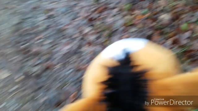 Mini Hobby horse "Vlog" 😍 Info am Ende 😊 [Hobby Horse Love] смотреть онлайн