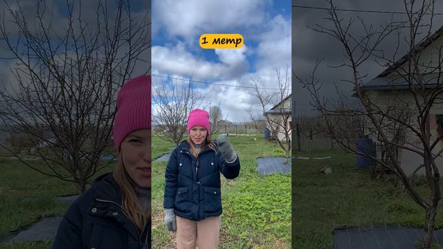 Обзор на петличный микрофон FIZZI BOX  #fizzibox #микрофон #обзор #петличныймикрофон #iphone