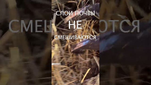 ЧИЗЕЛЬНЫЙ ПЛУГ - ЭТО НЕ ПАХАТЬ смотреть онлайн