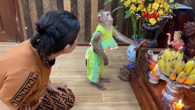 Judee Made A God Worship, Praying For More Special Fruits смотреть онлайн