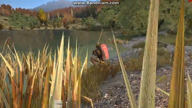Fishing in Dayz смотреть онлайн