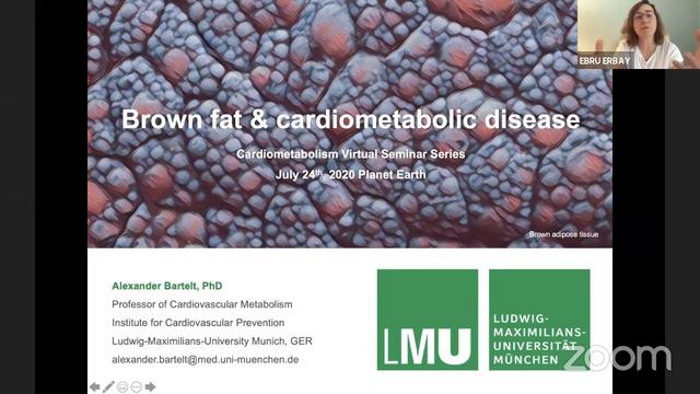 Weekly Cardiometabolism Seminars смотреть онлайн
