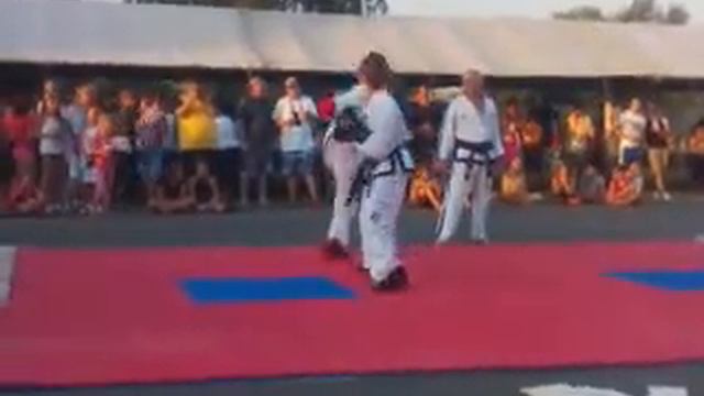 Korvin Taekwon-do Klub bemutatója 2013. 07. 27-én смотреть онлайн