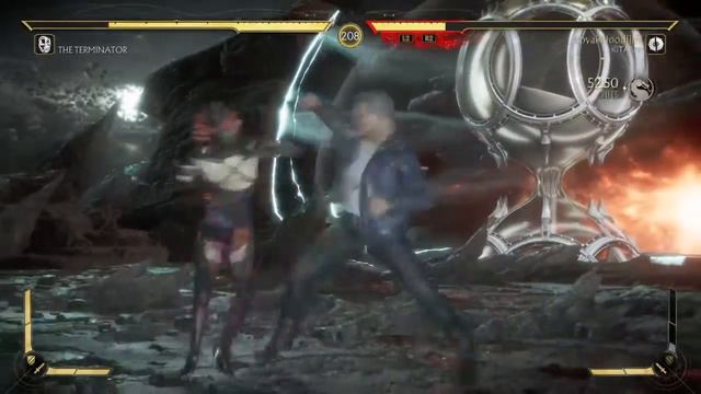 "You have been Terminated" Terminator Mortal Kombat 11 Gamplay Brutalities+Fatalities смотреть онлайн