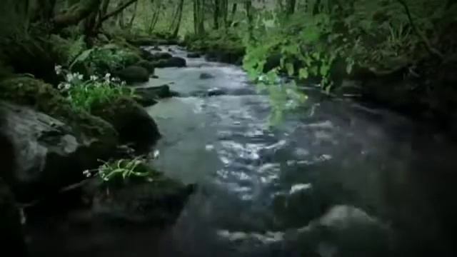 Фозил Кори марузалари Fozil Qori Maʼruzalari 6