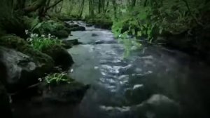 Фозил Кори марузалари Fozil Qori maʼruzalari 6