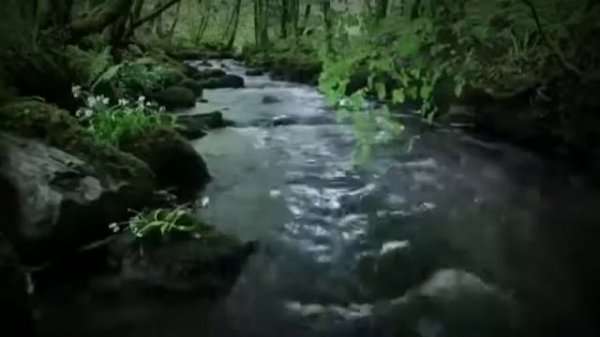 Фозил Кори марузалари Fozil Qori maʼruzalari 6