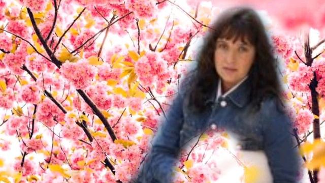 🤣2 Songs Von Andrea 🤣 😅 Andrea Jürgens🥲 смотреть онлайн
