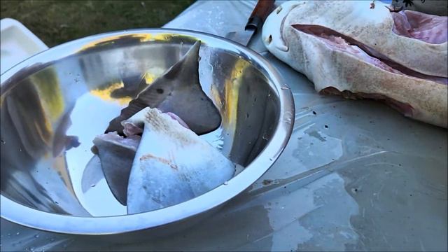Leopard Shark Fishing At Stinson Beach (Catch And Cook) Shark Burger And Salt & Pepper Shark!