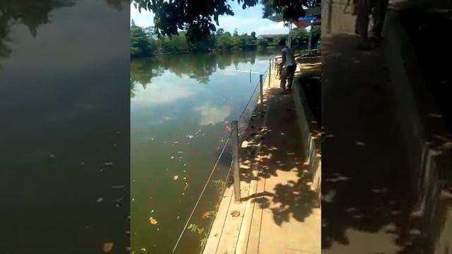 Taufik mp. Ngabuburit mancing di Setu Lebak wangi sawangan Depok смотреть онлайн