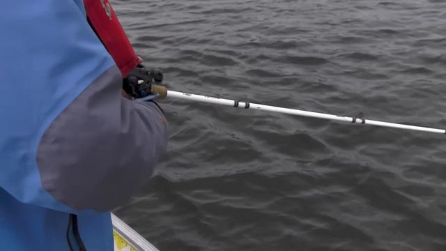 Trophy Lake Trout Of Tazin Lake | Bucket List Fy In Fishing Camp