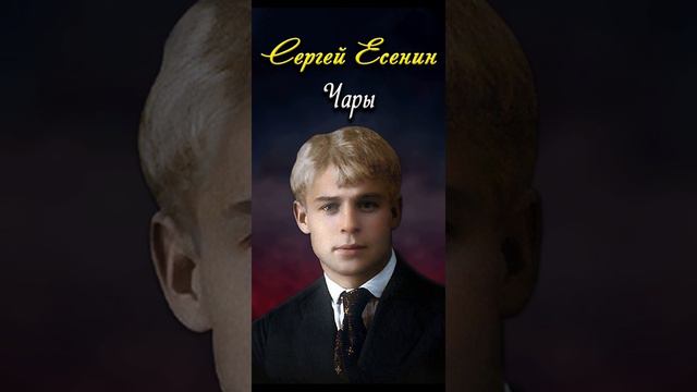 Чары - Сергей Есенин (читает Иван Щеглов) #shorts смотреть онлайн