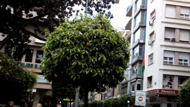 Cidade onde nasceu o vovo Francisco Sanches V смотреть онлайн